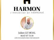 Vente Immeuble 12 pièces 417.42 m2 Pau
