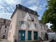 Vente Immeuble 15 pièces 356 m2 Delle