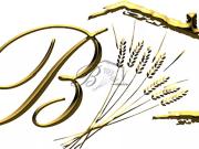 Vente Immeuble 8 pièces 312 m2 Beaumont de Pertuis