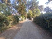 Vente Maison 10 pièces 196 m2 Noirmoutier en l'Ile