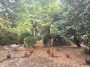 Vente Maison 10 pièces 215 m2 Toulouse