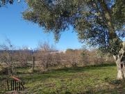 Vente Maison 10 pièces 228 m2 Thuir