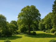 Vente Maison 10 pièces 238 m2 Tours