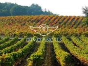 Vente Maison 10 pièces 242 m2 Narbonne Vente Maison 10 pièces 242 m2 Narbonne