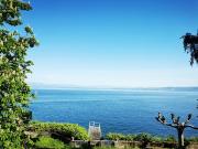 Vente Maison 10 pièces 293.87 m2 Evian les Bains