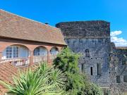 Vente Maison 10 pièces 293 m2 Sauveterre de Béarn