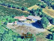 Vente Maison 10 pièces 300 m2 Pezenas