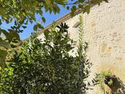 Vente Maison 10 pièces 326 m2 Vendays Montalivet