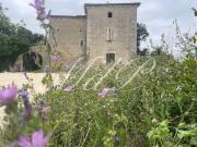 Vente Maison 10 pièces 338 m2 Asques