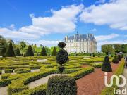 Vente Maison 10 pièces 359 m2 Sceaux