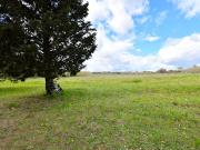 Vente Maison 11 pièces 186 m2 Meze