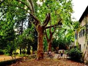 Vente Maison 11 pièces 215 m2 Ales