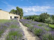 Vente Maison 120 m2 Ménerbes