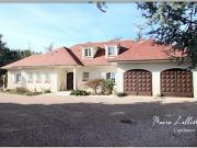 Vente Maison 12 pièces 343 m2 Pithiviers le Vieil