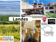 Vente Maison 12 pièces 403 m2 Hagetmau