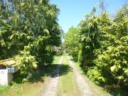 Vente Maison 14 pièces 345 m2 Fauguerolles Vente Maison 14 pièces 345 m2 Fauguerolles