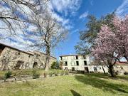 Vente Maison 14 pièces 600 m2 Bergonne