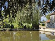 Vente Maison 16 pièces 295 m2 Toulon sur Allier