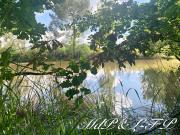 Vente Maison 16 pièces 467 m2 Margueron