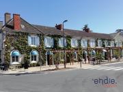 Vente Maison 17 pièces 570 m2 Sancoins