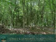 Vente Maison 1 pièce 0 m2 Vire