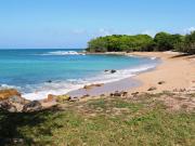 Vente Maison 20 pièces 440 m2 Deshaies