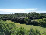 Vente Propriété 20 pièces 600 m2 Nimes