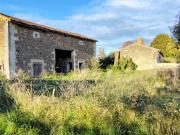 Vente Maison 2 pièces 100 m2 Saint Martin la Pallu