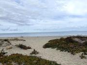 Vente Maison 2 pièces 37 m2 Borgo