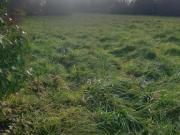 Vente Maison 3 pièces 215 m2 Saint Bonnet