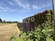 Vente Maison 3 pièces 296 m2 Vieillevigne