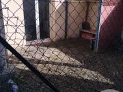 Vente Maison 3 pièces 61.93 m2 Beaumont le Roger