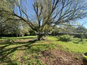 Vente Maison 3 pièces 74 m2 Petit Palais et Cornemps