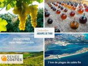 Vente Maison 3 pièces 78 m2 Frontignan