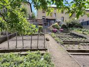 Vente Maison 3 pièces 79.14 m2 Tarare