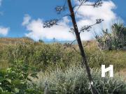 Vente Maison 3 pièces 92 m2 Sainte Marie de Ré