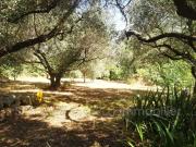 vente maison 4 Pièce s