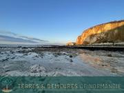 Vente Maison 4 pièces 100 m2 Sassetot le Mauconduit