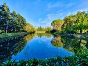 Vente Maison 4 pièces 107 m2 Sainte Reine de Bretagne