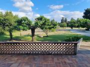 Vente Maison 4 pièces 110 m2 Monteux