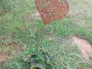 Vente Maison 4 pièces 110 m2 Yvré l'Evêque