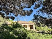 Vente Maison 4 pièces 115.28 m2 Corbara