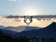 Vente Maison 4 pièces 115 m2 Bagnols en Forêt