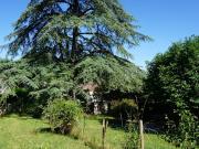 Vente Maison 4 pièces 65 m2 Castelnau Montratier