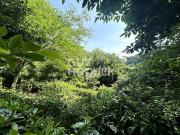 Vente Maison 4 pièces 82.09 m2 Vertou