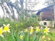 Vente Maison 4 pièces 95 m2 Montgesty