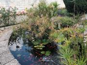 Vente Maison 4 pièces 96 m2 Mortagne sur Gironde Vente Maison 4 pièces 96 m2 Mortagne sur Gironde