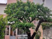 Vente Maison 5 pièces 101 m2 Romans sur isere