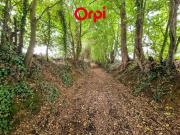 Vente Maison 5 pièces 115 m2 Rouperroux le Coquet