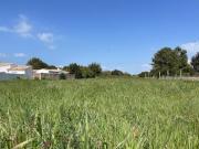 Vente Maison 5 pièces 116 m2 Le bois plage en re